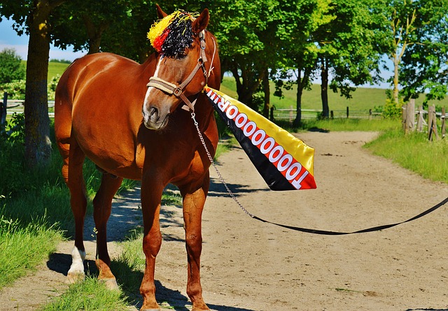 以另一位足 以另一位足