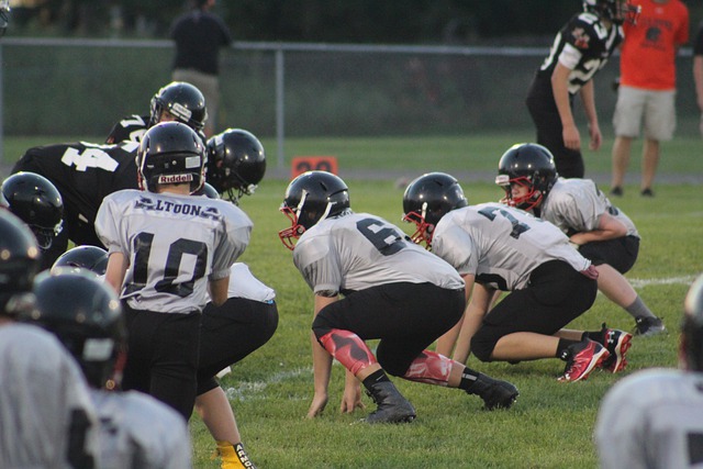 斯威德的同 斯威德的同