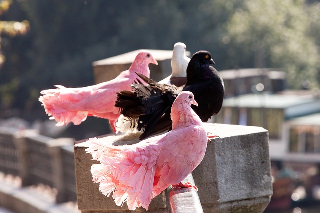 未来比赛中 未来比赛中