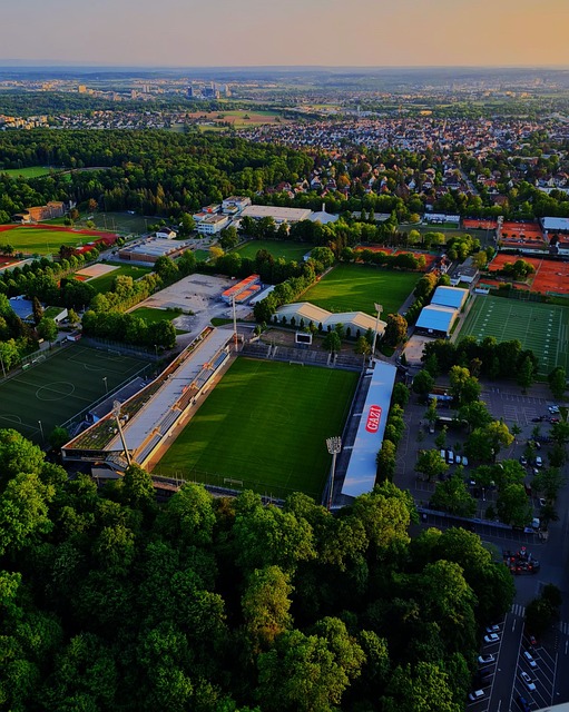 综上所述 综上所述