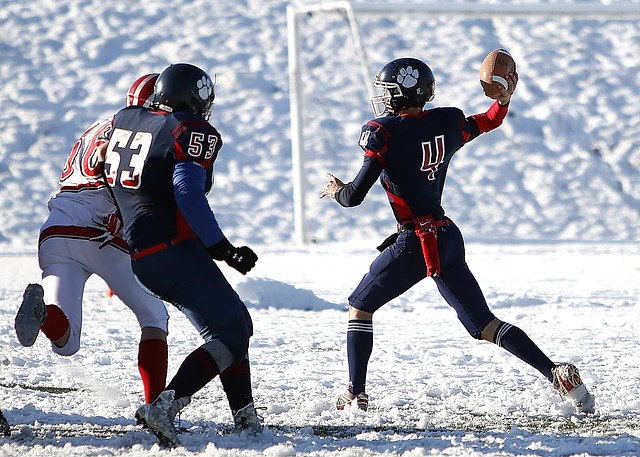 反应速度的 反应速度的