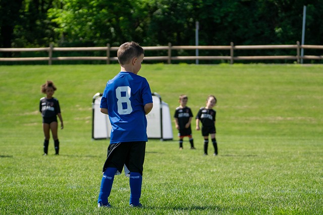 了新的指导 了新的指导