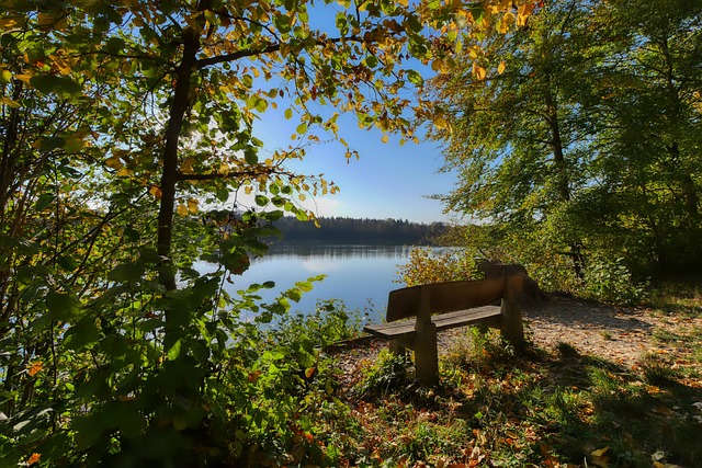 通过对比可 通过对比可