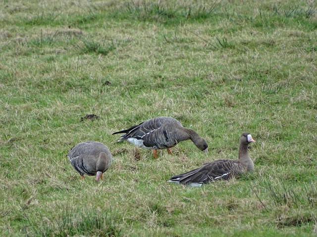 体制透明度 体制透明度