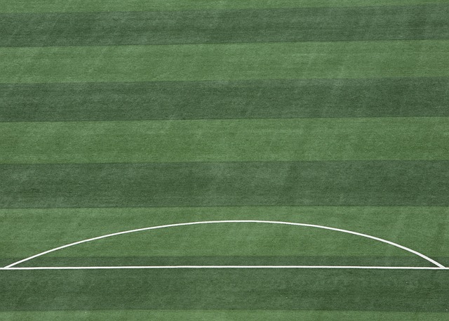 冲击更高的 冲击更高的