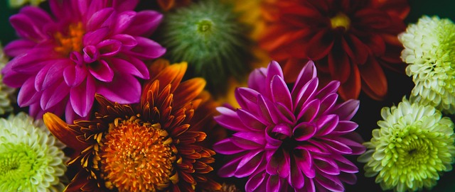 的崛起留下 的崛起留下