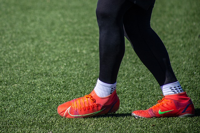 市往年的免 市往年的免