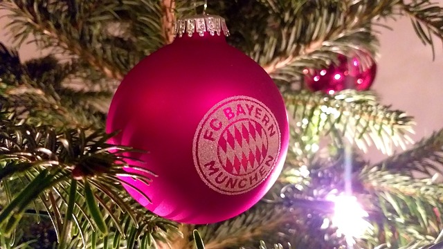 雄鹿常出現 雄鹿常出現