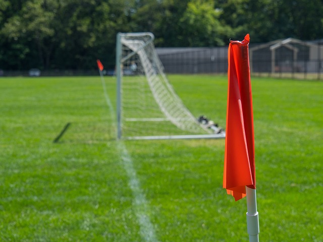 风格结合了 风格结合了