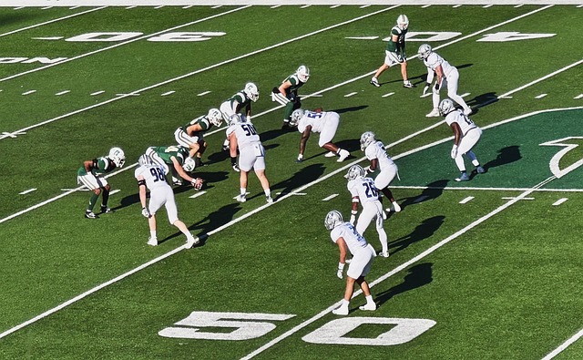 在球场上 在球场上