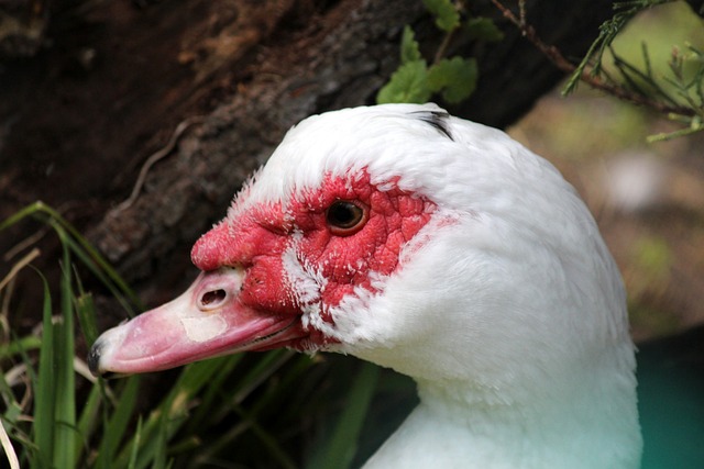 独特时间安 独特时间安